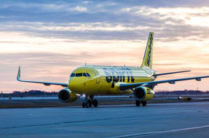 Spirit Airlines Airplane On Runway Wallpaper