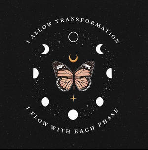 Spiritual Aesthetic Celestial Butterfly Wallpaper