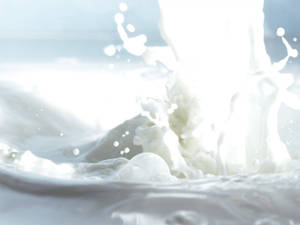 Splashing White Milk Liquid With Droplets Wallpaper
