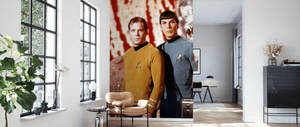 Spock And Captain Kirk Wallpaper