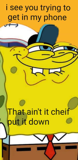 Spongebob Squarepants Put Down My Phone Version Wallpaper