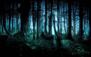Spooky Dark Forest Wallpaper