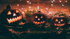 Spooky Season Three Pumpkins Wallpaper