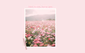 Spring Aesthetic Desktop [wallpaper] Wallpaper