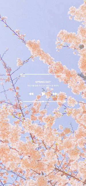 Spring Aesthetic Playlist Wallpaper