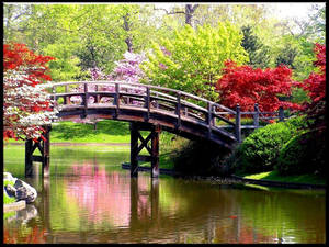 Spring Desktop Bridge In River Wallpaper