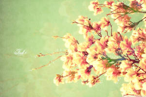 Spring Desktop Magnolia Flower Painting Wallpaper