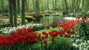 Spring Desktop River Flower Garden Wallpaper