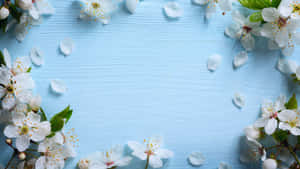 Spring Floral Frameon Blue Background Wallpaper