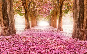 Spring Flowers And Trees Wallpaper