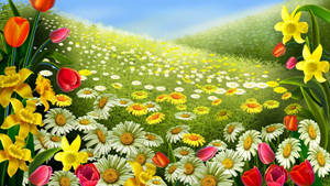 Spring Flowers Field Digital Drawing Wallpaper