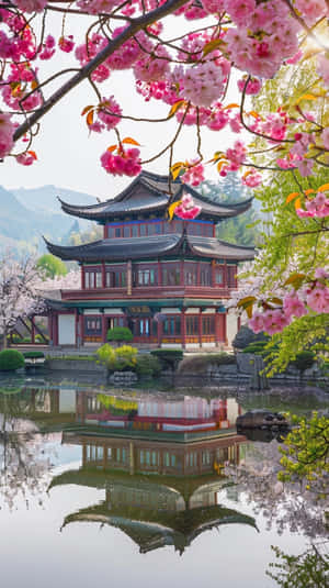 Springtime_ Blossoms_at_ Traditional_ Asian_ Pavilion.jpg Wallpaper