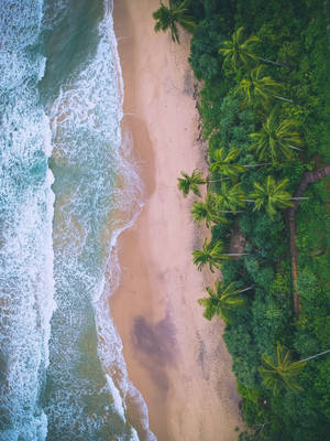 Sri Lanka Maaliyadda Beach Aerial Wallpaper