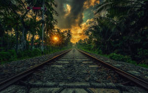 Sri Lanka Railway Palms Sunset Wallpaper