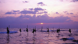 Sri Lanka Stilt Fishing Sunset Wallpaper