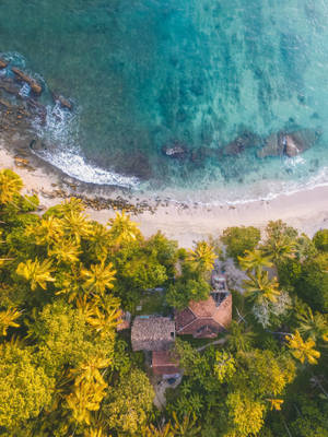 Sri Lanka Unawatuna Beach Aerial Wallpaper