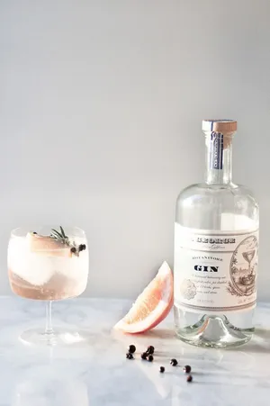 St George Botanivore Gin And Elderflower Tonic Drink Wallpaper