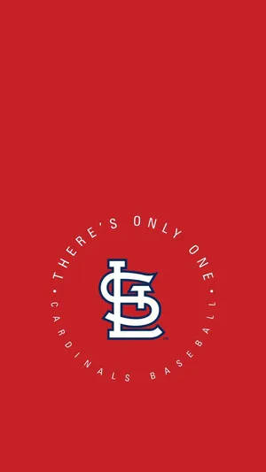 Download free Red Bird St Louis Cardinals Wallpaper - MrWallpaper.com