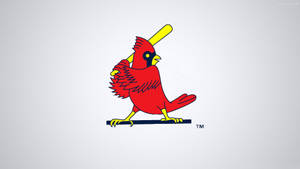 St Louis Cardinals Bird With Baseball Bat Wallpaper