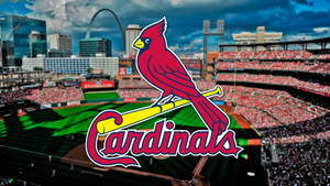 St Louis Cardinals Red Bird On Field Wallpaper