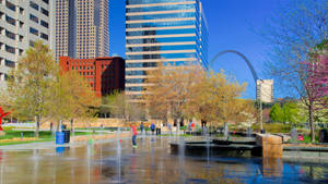 St Louis City Garden Wallpaper