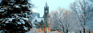 St Paul Rice Park Winter Trees Wallpaper