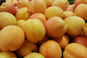 Stack Of Apricot Fruit Wallpaper