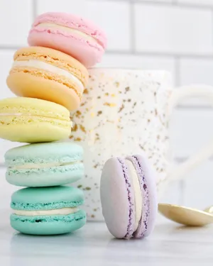 Stacked Light Pastel Colored Macaron Wallpaper