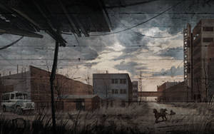 Stalker Zone With Dogs Wallpaper