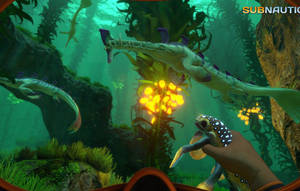 Stalkers Kelp Forest Subnautica Wallpaper