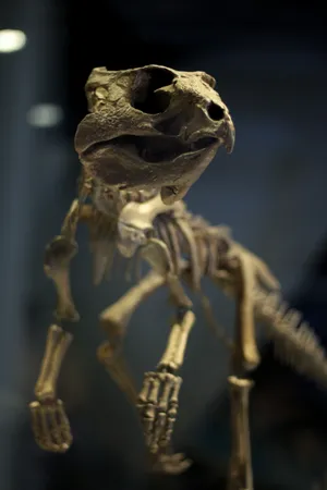 Standing Dinosaur Fossil Wallpaper