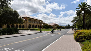 Stanford University Sidewalk Wallpaper