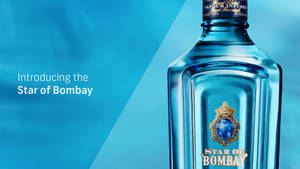 Star Of Bombay Wallpaper