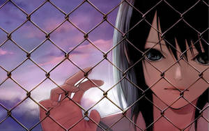 Staring Sad Girl In The Fence Wallpaper