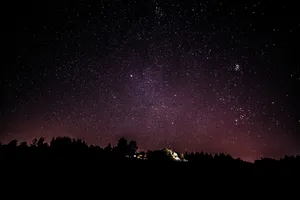 Starry Night Sky Over The Forest Wallpaper