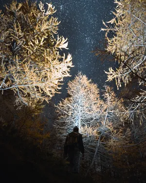 Starry Ombre Night Sky Wallpaper