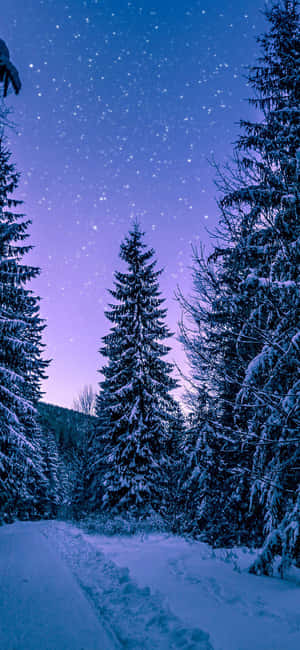 Starry Sky In Winter Snow Iphone Wallpaper