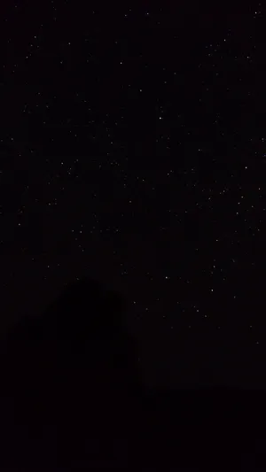 Starry Sky Pure Black Hd Phone Screen Wallpaper