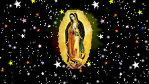 Starry Virgen De Guadalupe Wallpaper