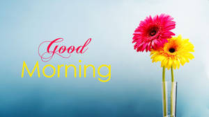 Start Your Day With A Good Morning And Some Encouraging Flowers. Wallpaper