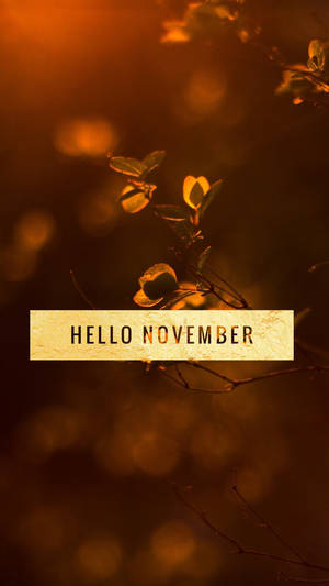 Starting The Holiday Season With The Newest November Iphone! Wallpaper