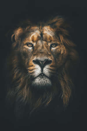 Stay Connected With Friends And Family Near And Far With The African Phone. Wallpaper