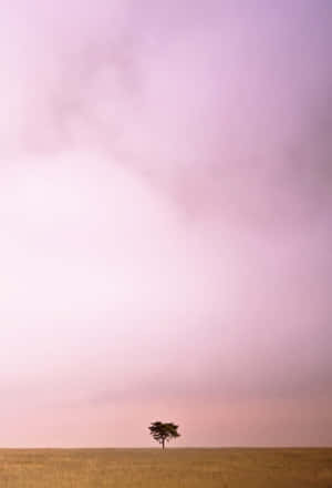 Stay Connected With Tumblr's Latest Smartphone Wallpaper