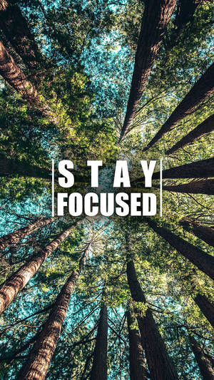 Stay Focused Motivational Mobile Wallpaper