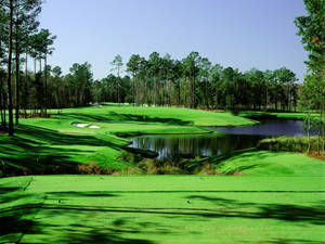 Stay Focused While On The Green; Improve Your Golf Skills Wallpaper