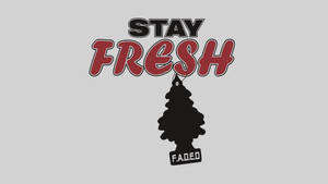 Stay Fresh Christmas Car Sticker Wallpaper