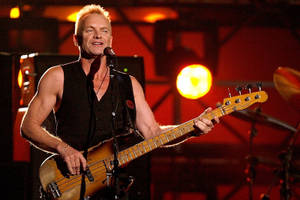Sting English Musician And Actor Wallpaper