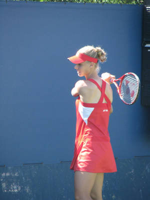 Stolen Shot Elena Dementieva Wallpaper