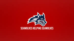 Stony Brook University Simple Seawolves Wallpaper