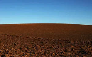 Stony Natural Soil Sunny Day Wallpaper